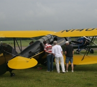 yellowjacketlook